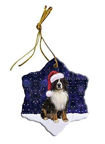 Let It Snow Bernese Mountain Dog Christmas Star Ornament POR2639