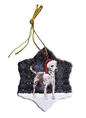 Let It Snow Catahoula Leopard Dog Christmas Star Ornament POR2643