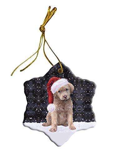 Let It Snow Chesapeake Bay Retriever Dog Christmas Star Ornament POR2594