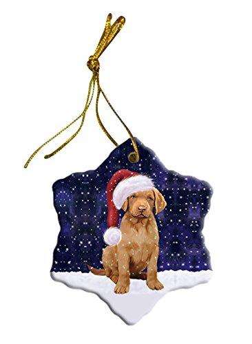 Let It Snow Chesapeake Bay Retriever Dog Christmas Star Ornament POR2595