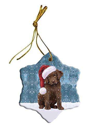 Let It Snow Chesapeake Bay Retriever Dog Christmas Star Ornament POR2596