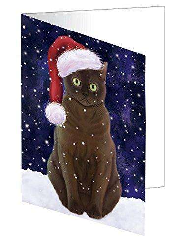 Let it Snow Christmas Holiday American Bermese Zibeline Cat Wearing Santa Hat Handmade Artwork Assorted Pets Greeting Cards and Note Cards with Envelopes for All Occasions and Holiday Seasons D407