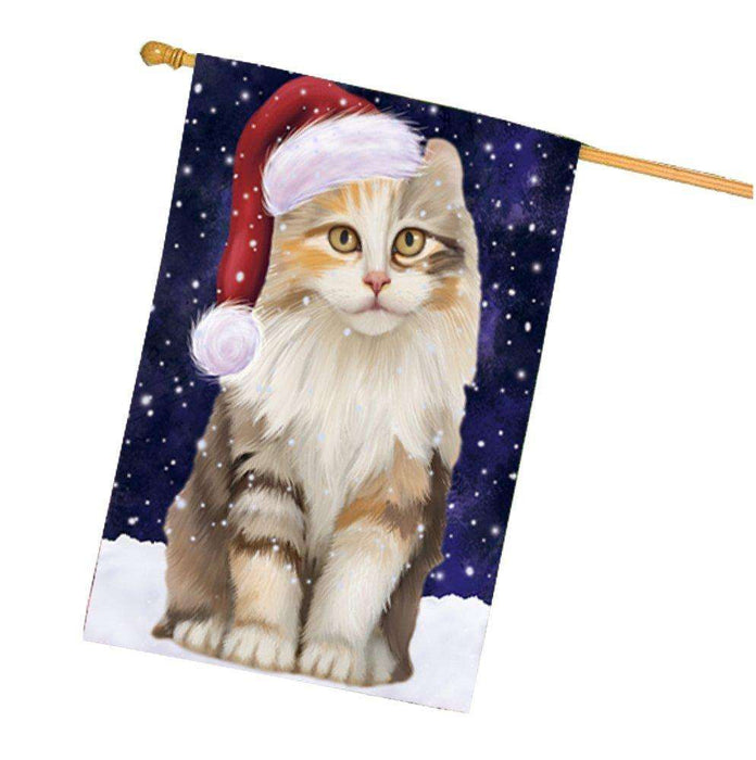 Let it Snow Christmas Holiday American Curl Cat Wearing Santa Hat House Flag HF258