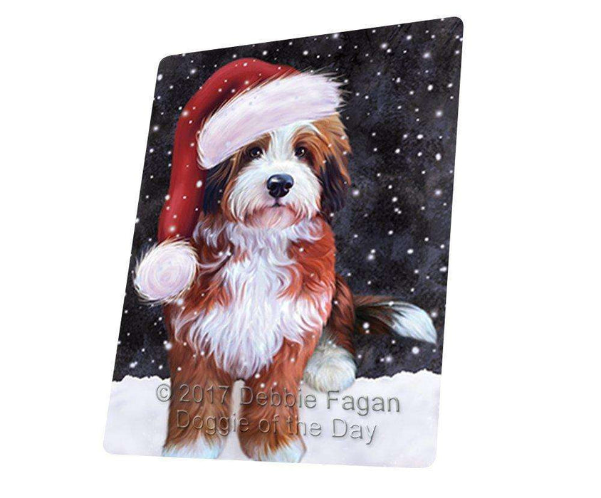 Let it Snow Christmas Holiday Bernedoodle Dog Wearing Santa Hat Art Portrait Print Woven Throw Sherpa Plush Fleece Blanket D054