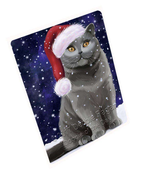 Let it Snow Christmas Holiday British Shorthair Cat Wearing Santa Hat Art Portrait Print Woven Throw Sherpa Plush Fleece Blanket D021
