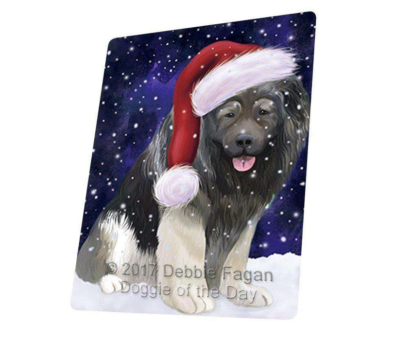 Let it Snow Christmas Holiday Caucasian Ovcharka Dog Wearing Santa Hat Art Portrait Print Woven Throw Sherpa Plush Fleece Blanket D069