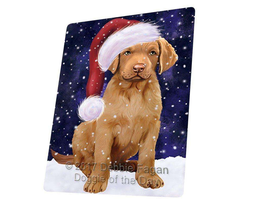 Let it Snow Christmas Holiday Chesapeake Bay Retriever Dog Wearing Santa Hat Art Portrait Print Woven Throw Sherpa Plush Fleece Blanket D108