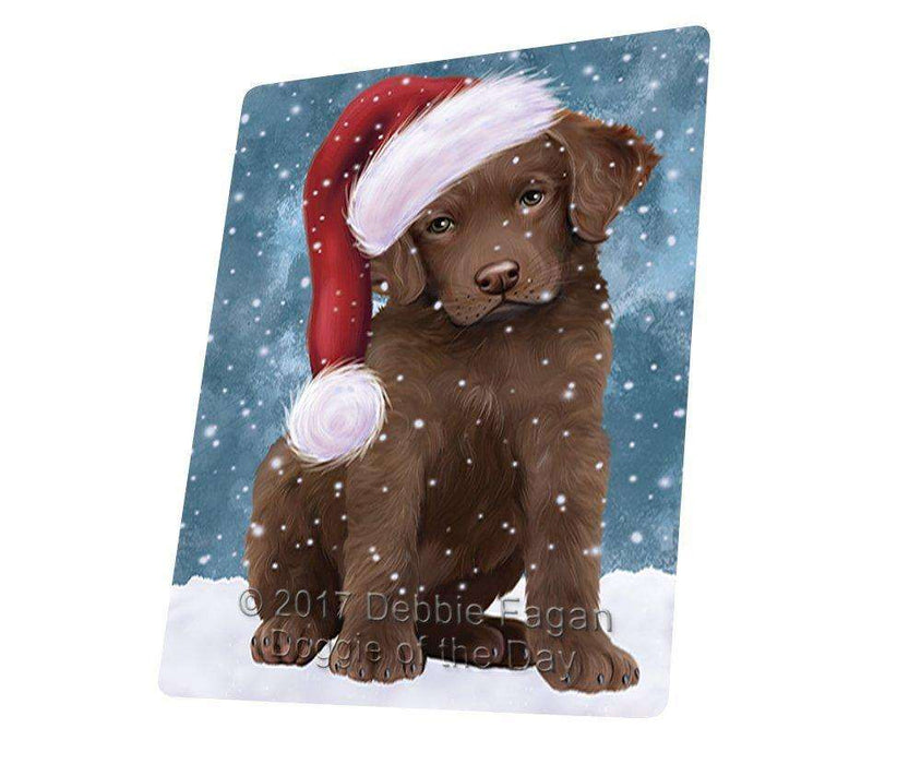 Let it Snow Christmas Holiday Chesapeake Bay Retriever Dog Wearing Santa Hat Art Portrait Print Woven Throw Sherpa Plush Fleece Blanket D109