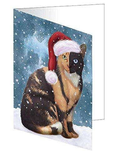 Let it Snow Christmas Holiday Chimera Cat Wearing Santa Hat Handmade Artwork Assorted Pets Greeting Cards and Note Cards with Envelopes for All Occasions and Holiday Seasons D387