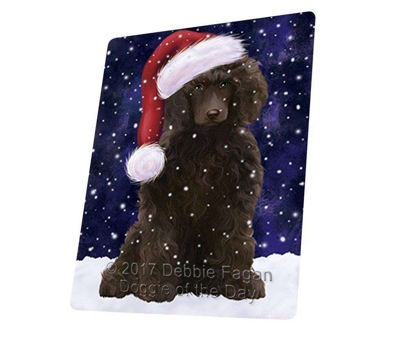 Let it Snow Christmas Holiday Poodle Dog Wearing Santa Hat Art Portrait Print Woven Throw Sherpa Plush Fleece Blanket D020