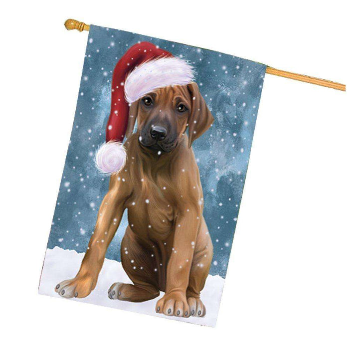 Let it Snow Christmas Holiday Rhodesian Ridgeback Dog Wearing Santa Hat House Flag