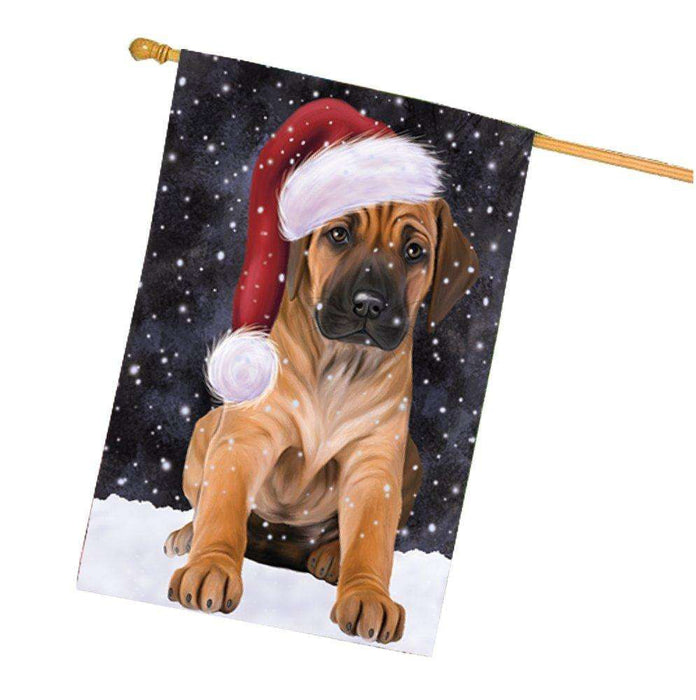 Let it Snow Christmas Holiday Rhodesian Ridgeback Dog Wearing Santa Hat House Flag