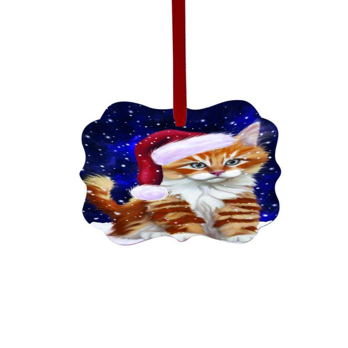Let it Snow Christmas Holiday Tabby Cat Double-Sided Photo Benelux Christmas Ornament LOR48745