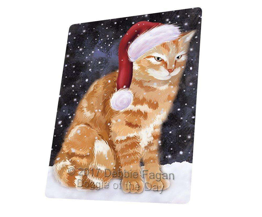 Let it Snow Christmas Holiday Tabby Cat Wearing Santa Hat Art Portrait Print Woven Throw Sherpa Plush Fleece Blanket D264