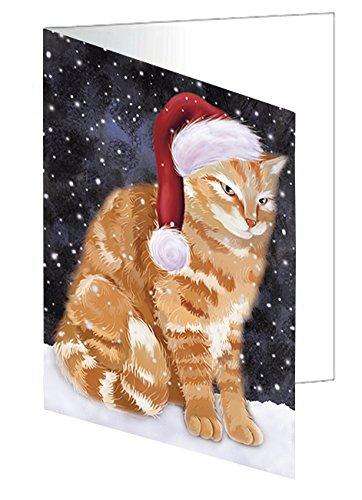 Let it Snow Christmas Holiday Tabby Cat Wearing Santa Hat Handmade Artwork Assorted Pets Greeting Cards and Note Cards with Envelopes for All Occasions and Holiday Seasons D455