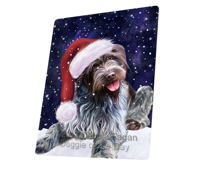 Let it Snow Christmas Holiday Wirehaired Pointing Griffon Dog Wearing Santa Hat Art Portrait Print Woven Throw Sherpa Plush Fleece Blanket D043