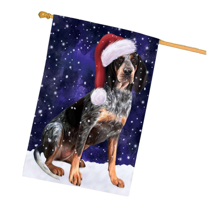 Let it Snow Christmas Holidays Bluetick Coonhound Dog Wearing Santa Hat House Flag HFLG026