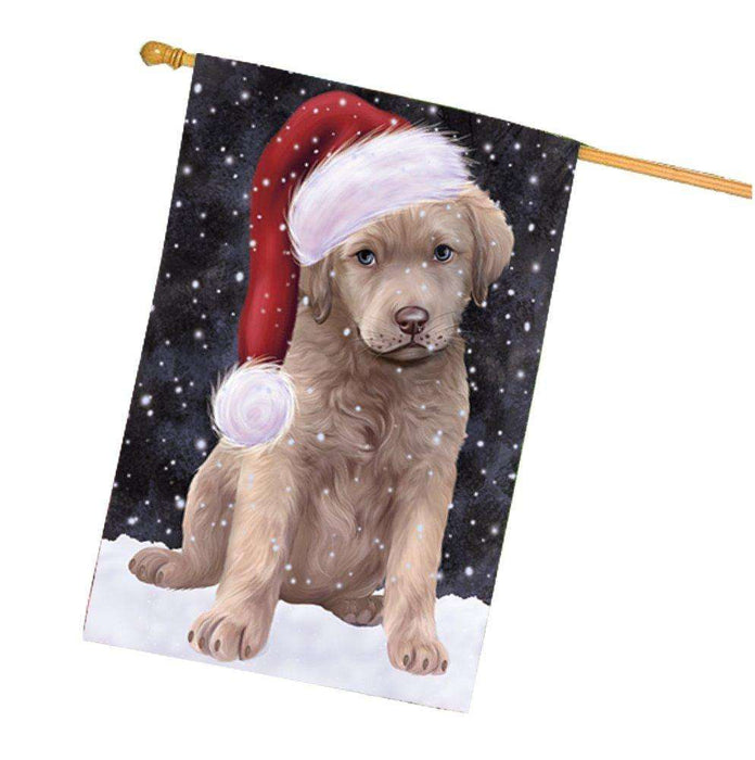 Let it Snow Christmas Holidays Chesapeake Bay Retriever Dog Wearing Santa Hat House Flag FLG136