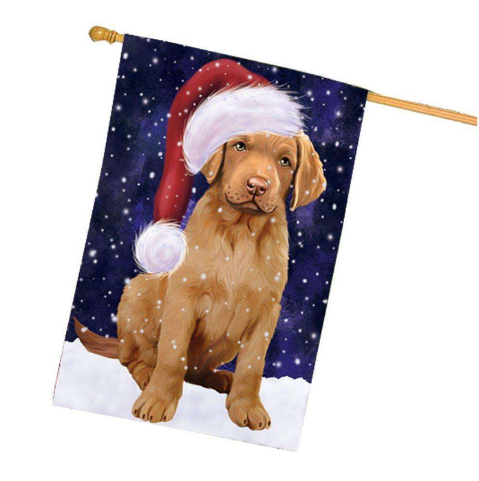 Let it Snow Christmas Holidays Chesapeake Bay Retriever Dog Wearing Santa Hat House Flag FLG137