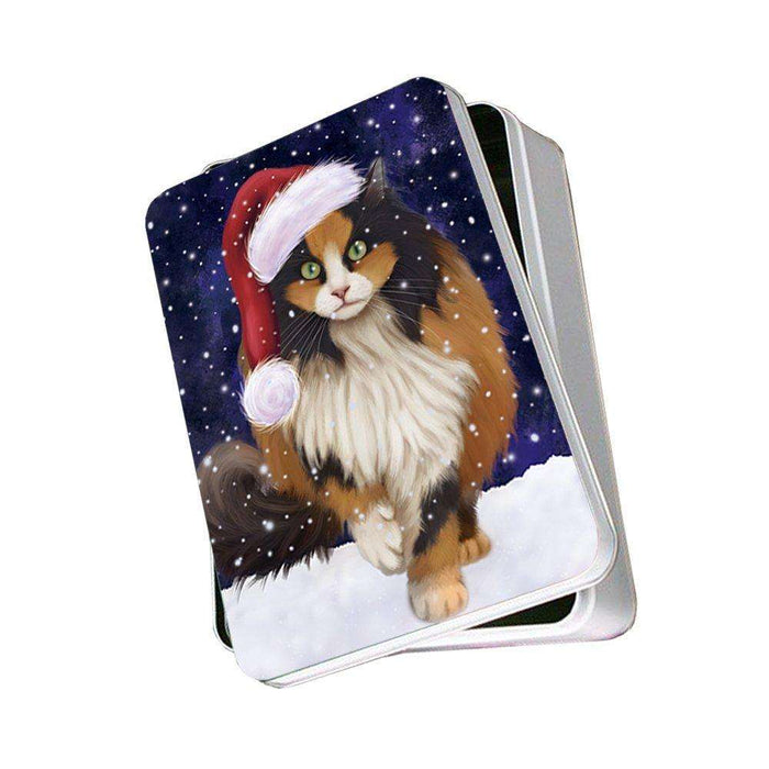 Let It Snow Happy Holidays Calico Cat Christmas Photo Storage Tin PTIN0365