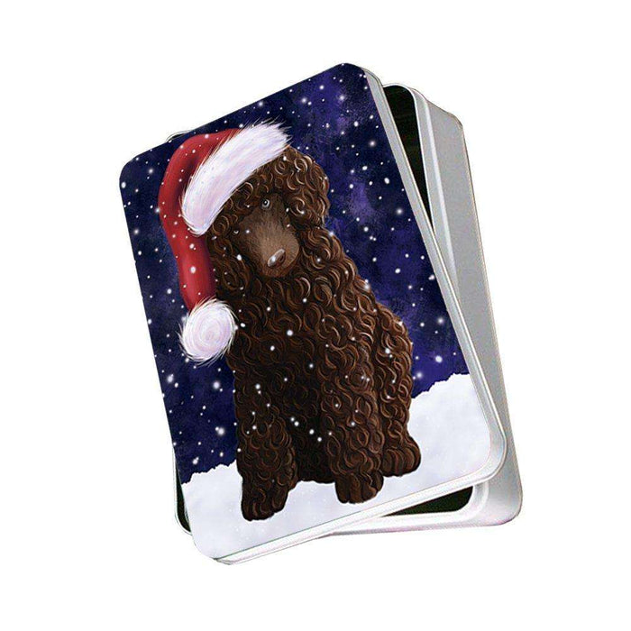 Let It Snow Happy Holidays Poodle Brown Dog Christmas Photo Storage Tin PTIN0458
