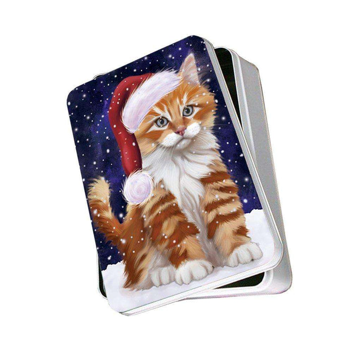 Let It Snow Happy Holidays Tabby Cat Christmas Photo Storage Tin PTIN0473