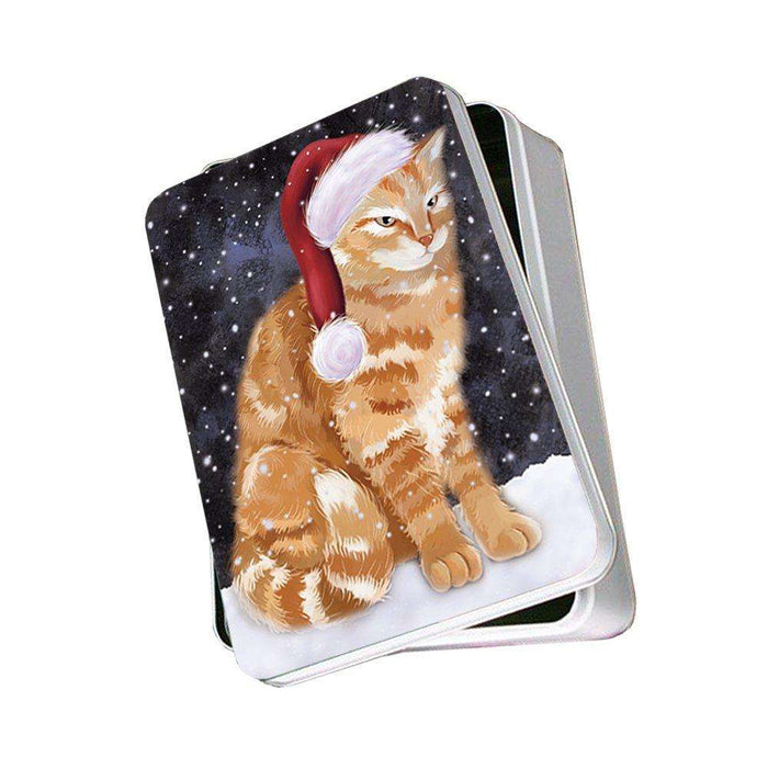 Let It Snow Happy Holidays Tabby Cat Christmas Photo Storage Tin PTIN0474
