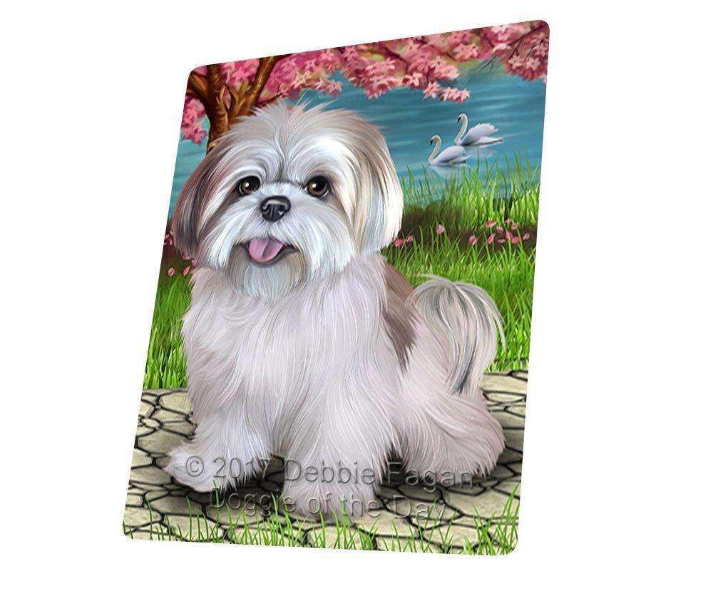 Lhasa apso best sale x shih tzu