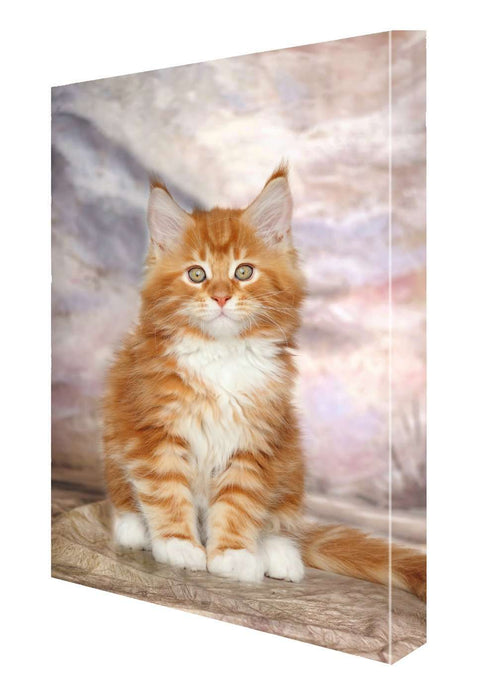 Maine Coon Kitten Canvas 18 x 24