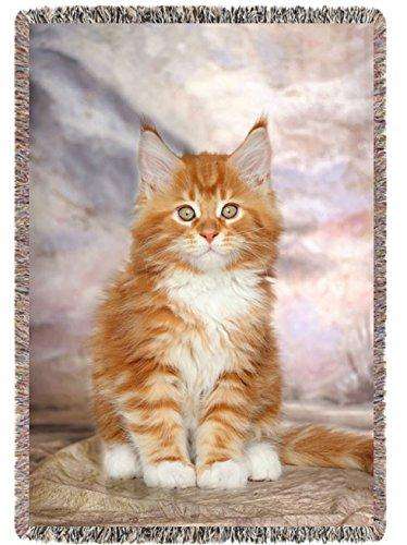 Maine Coon Kitten Woven Throw Blanket 54 x 38
