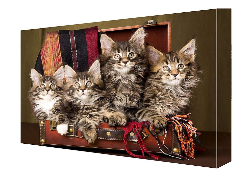Maine Coon Kittens Canvas 18 x 24