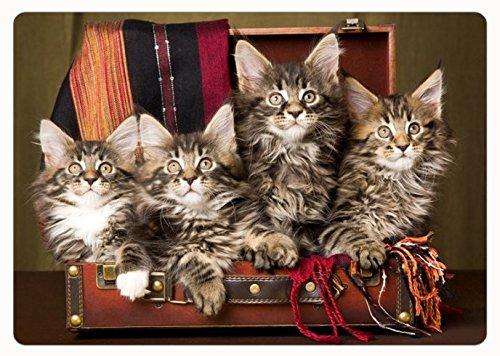 Maine Coon Kittens Cutting Board