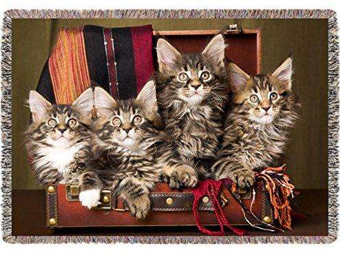 Maine Coon Kittens Woven Throw Blanket 54 X 38