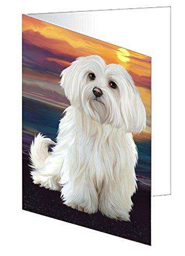 Maltese Dog Handmade Artwork Assorted Pets Greeting Cards and Note Cards with Envelopes for All Occasions and Holiday Seasons D294