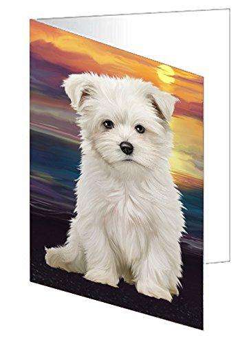 Maltese Dog Handmade Artwork Assorted Pets Greeting Cards and Note Cards with Envelopes for All Occasions and Holiday Seasons D295