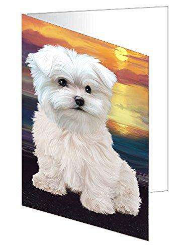 Maltese Dog Handmade Artwork Assorted Pets Greeting Cards and Note Cards with Envelopes for All Occasions and Holiday Seasons D296