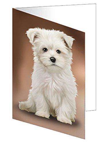 Maltese Dog Handmade Artwork Assorted Pets Greeting Cards and Note Cards with Envelopes for All Occasions and Holiday Seasons D300