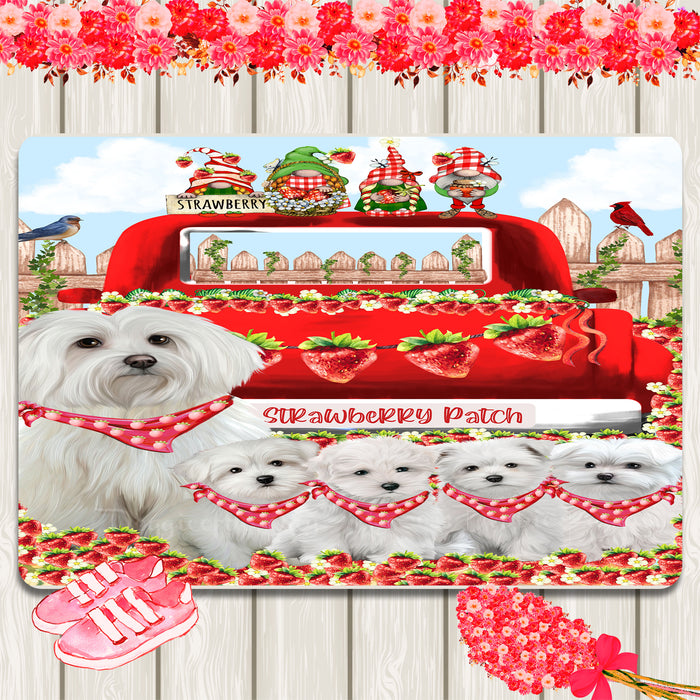 Maltese Area Rug and Runner, Explore a Variety of Designs, Personalized, Indoor Floor Carpet Rugs for Home and Living Room, Custom, Dog Gift for Pet Lovers