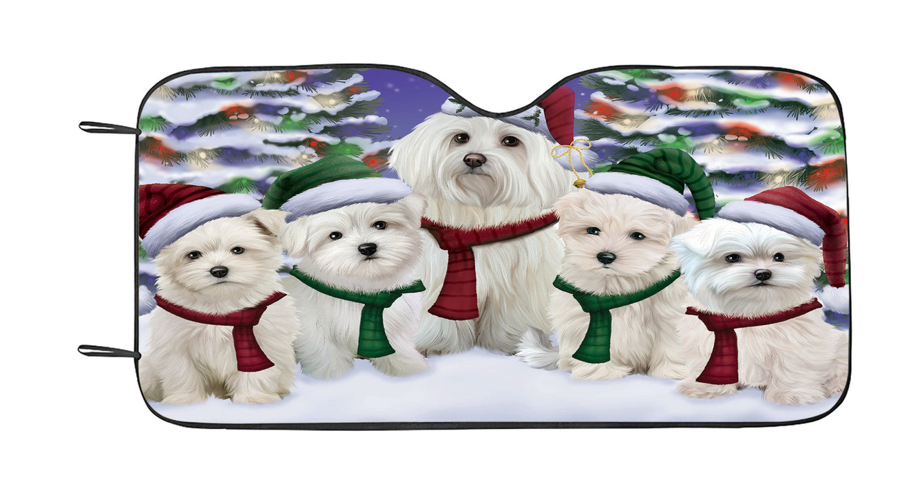 Maltese Dogs Christmas Family Portrait in Holiday Scenic Background Car Sun Shade