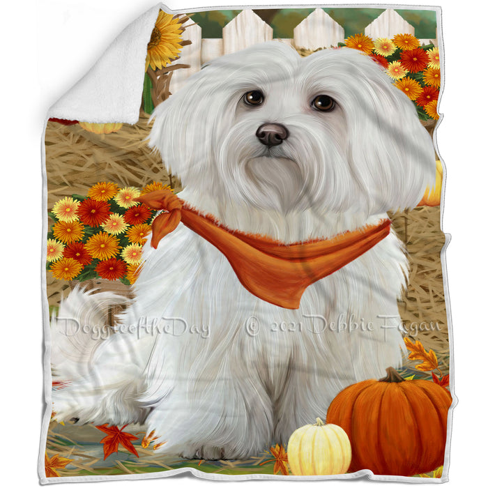 Fall Autumn Greeting Maltese Dog with Pumpkins Blanket BLNKT73083