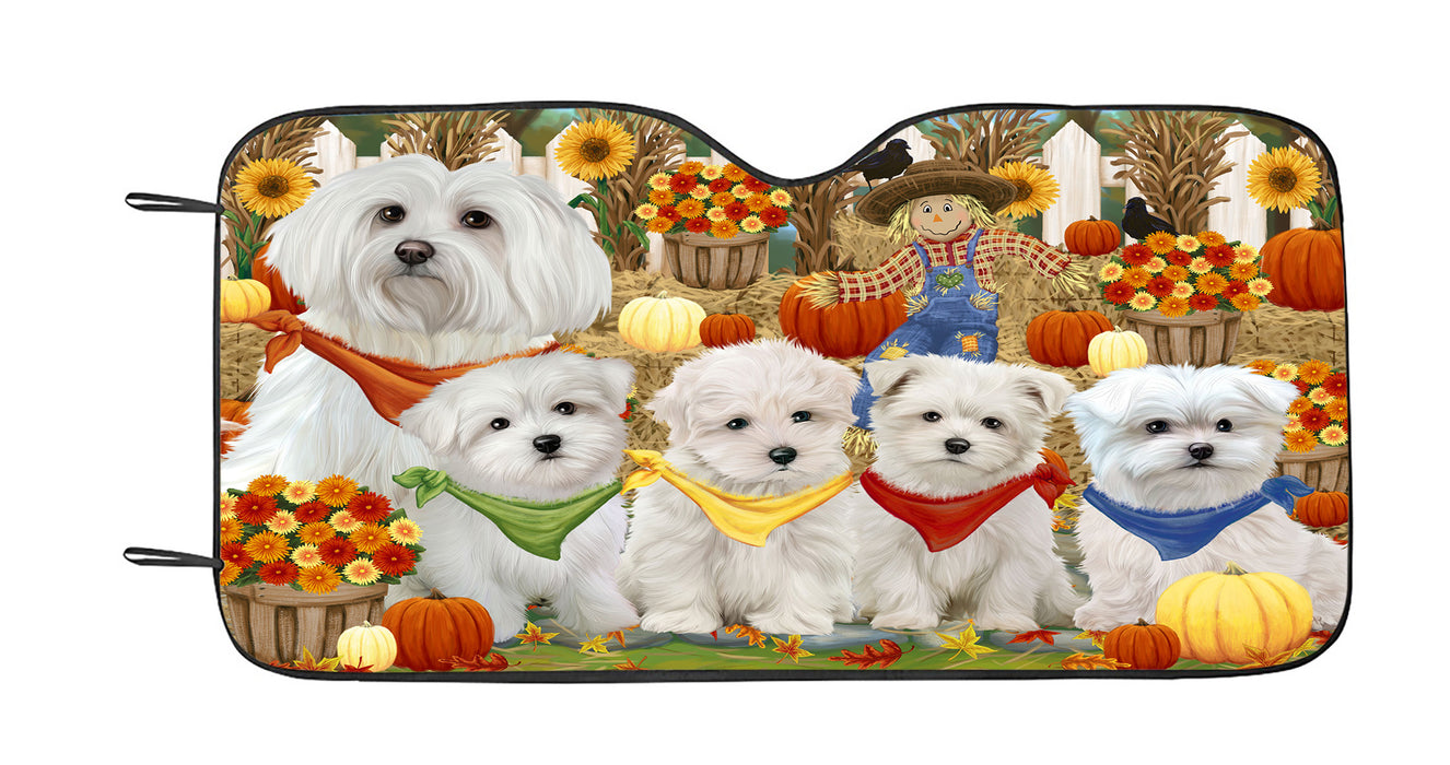 Fall Festive Harvest Time Gathering Maltese Dogs Car Sun Shade