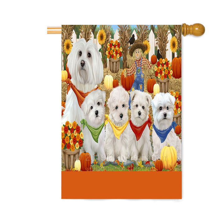 Personalized Fall Festive Gathering Maltese Dogs with Pumpkins Custom House Flag FLG-DOTD-A62029