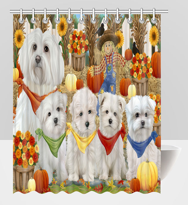 Fall Festive Harvest Time Gathering Maltese Dogs Shower Curtain
