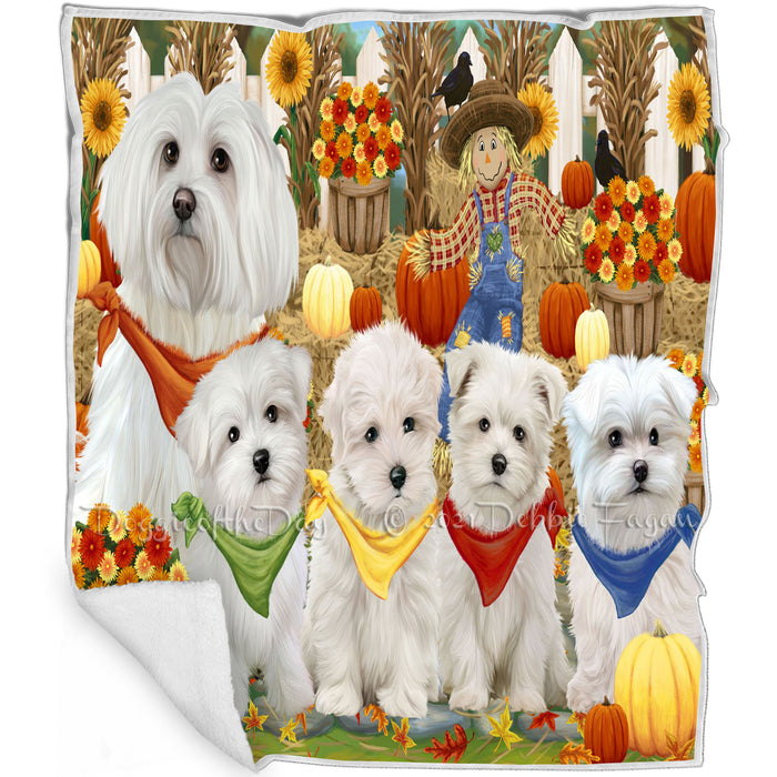 Fall Festive Gathering Malteses Dog with Pumpkins Blanket BLNKT71940