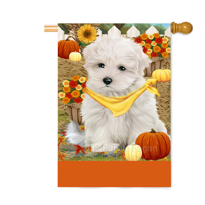 Personalized Fall Autumn Greeting Maltese Dog with Pumpkins Custom House Flag FLG-DOTD-A62030