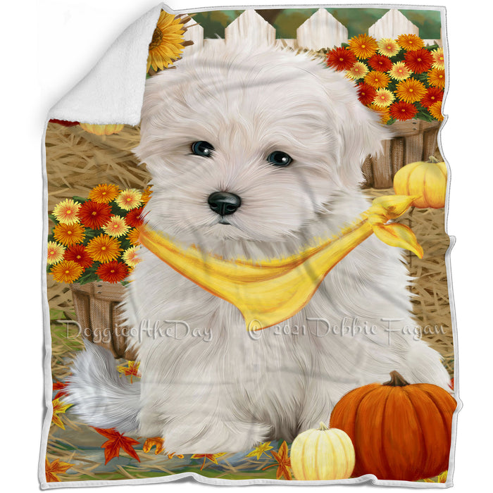 Fall Autumn Greeting Maltese Dog with Pumpkins Blanket BLNKT73092