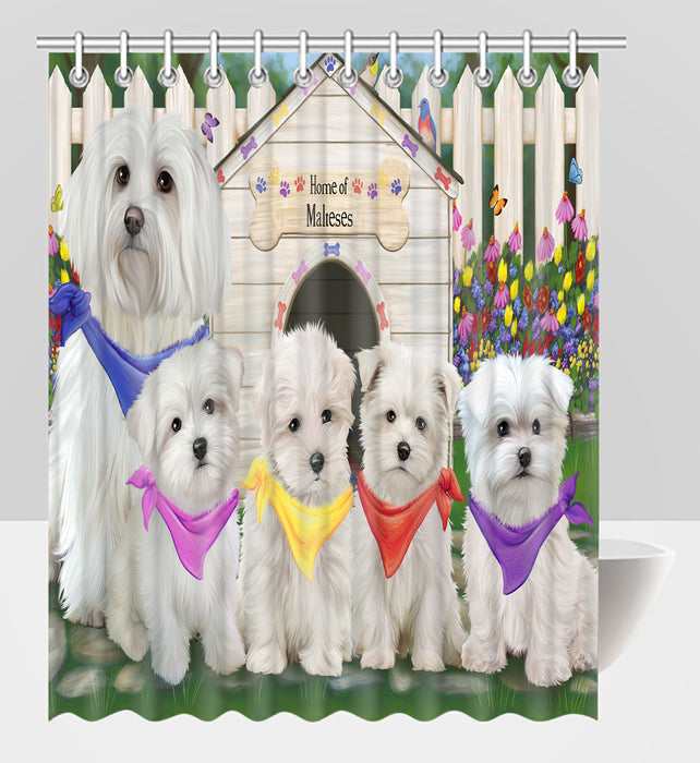 Spring Dog House Maltese Dogs Shower Curtain