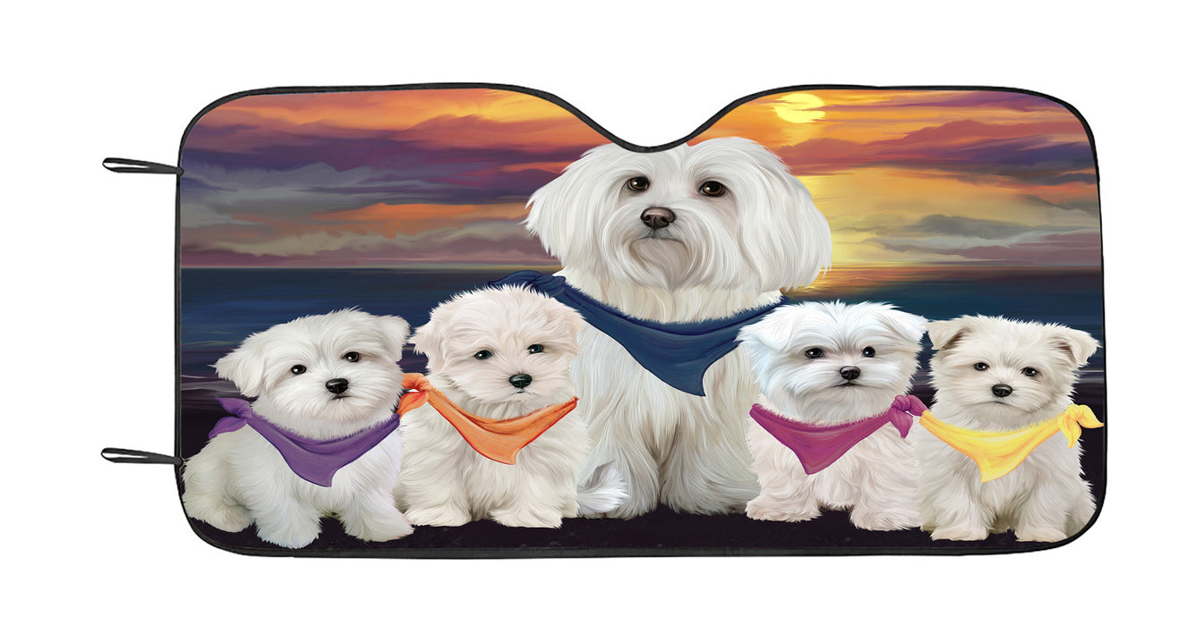 Family Sunset Portrait Maltese Dogs Car Sun Shade