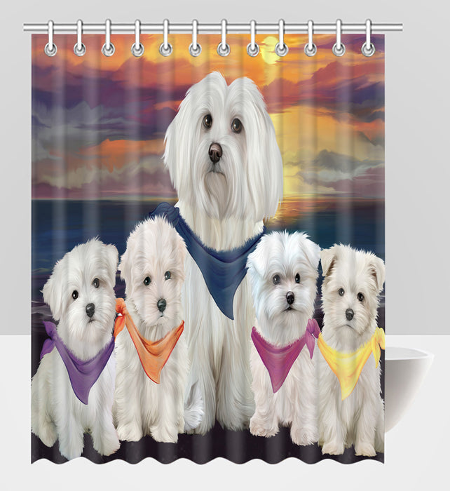 Family Sunset Portrait Maltese Dogs Shower Curtain