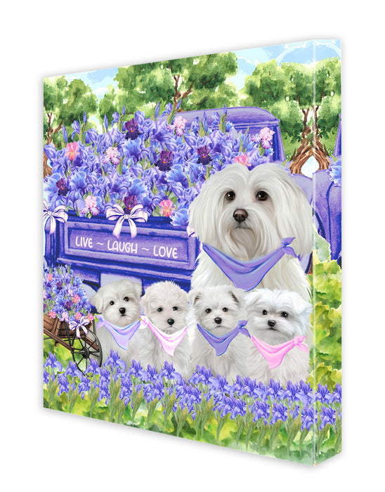 Maltese Canvas: Explore a Variety of Custom Designs, Personalized, Digital Art Wall Painting, Ready to Hang Room Decor, Gift for Pet & Dog Lovers